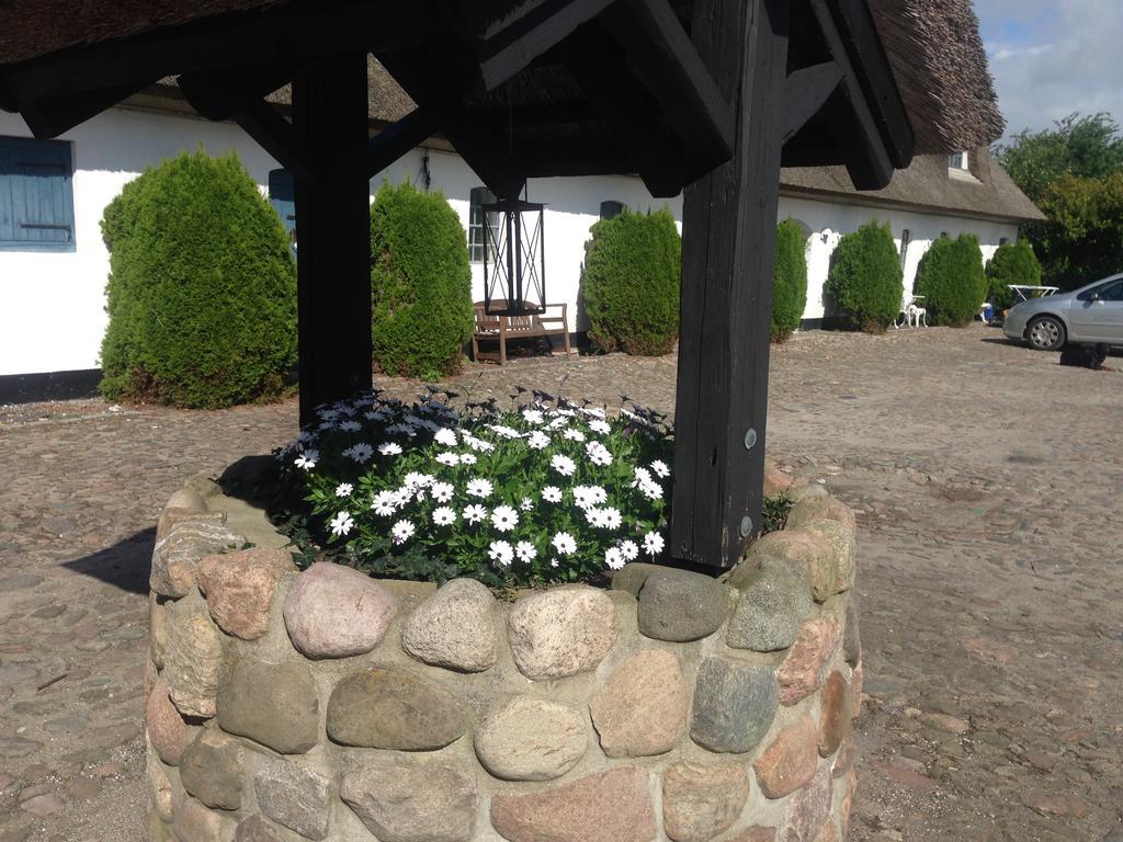 Rane Ladegaard Guest House Ebeltoft Exterior photo
